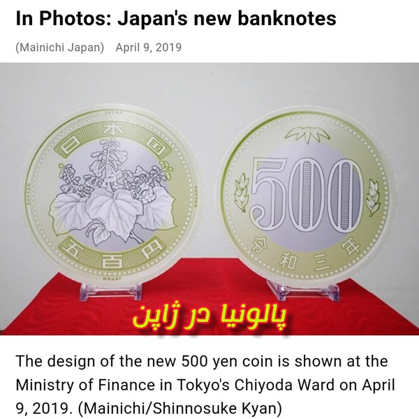 اهمیت و کاربرد پالونیا در کشور ژاپن درخت پائولونیا Japan's paulownia