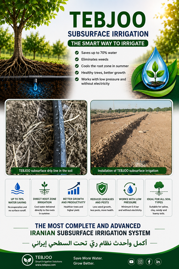 Subsurface irrigation systems  