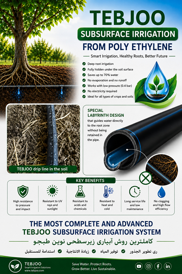 Subsurface irrigation systems