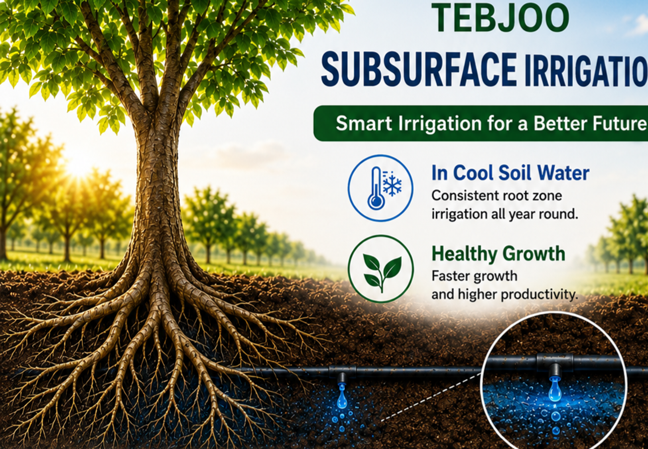Subsurface irrigation systems آبیاری زیرسطحی نوین طبجو 