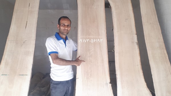 اسلب چوب صنعتی درخت پالونیا طبجو شیراز نهال زراعت چوب پائولونیا 