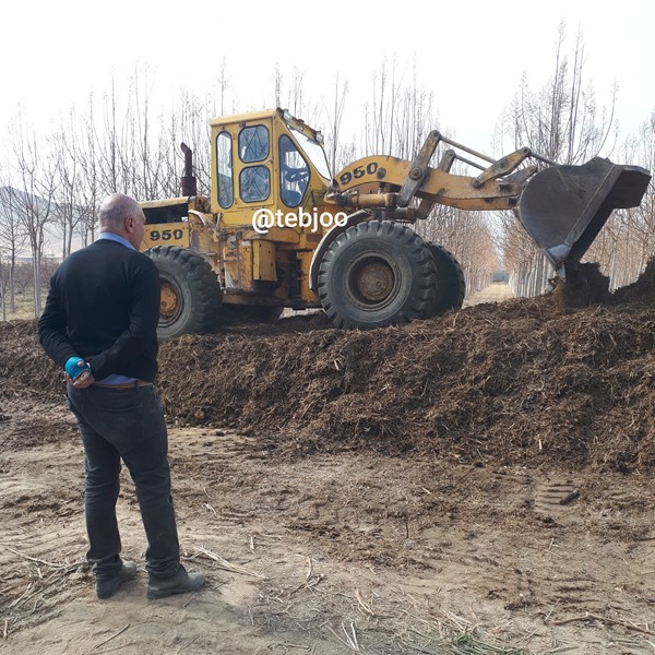 کود برگ ارگانیک بایو کمپوست برگ درخت پائولونیا 