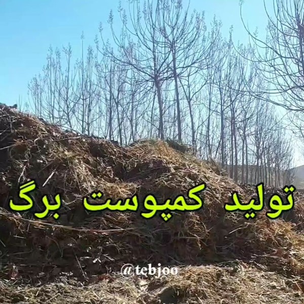 تولید عمده کود برگ ارگانیک بایو کمپوست برگ درخت پائولونیا 