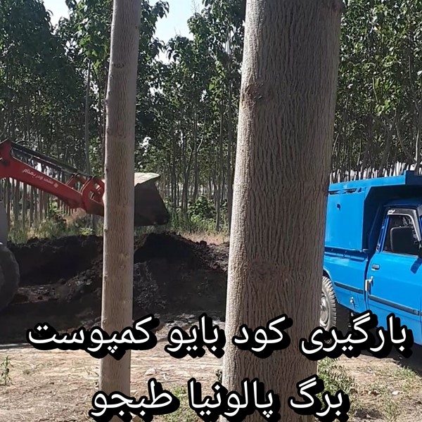 ارسال کود ارگانیک بیوکمپوست برگ پائولونیا  کود درخت پالونیا 