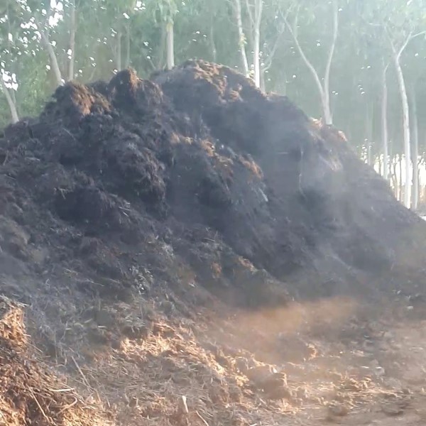 کود کمپوست برگ پالونیا کود برگ ارگانیک باغی کود گلخانه 