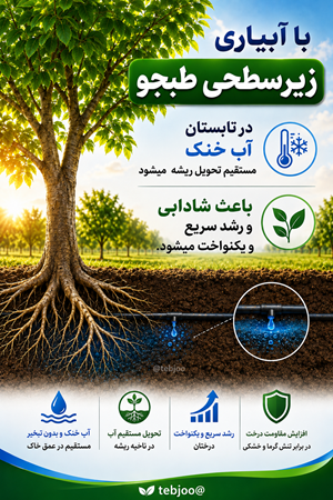 کاملترین روش آبیاری زیرسطحی ایرانی تحویل آب خنک به ریشه 