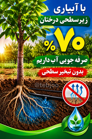 کاهش مصرف آب بروش زیرسطحی  جلوگیری از تبخیر آب کشاورزی 